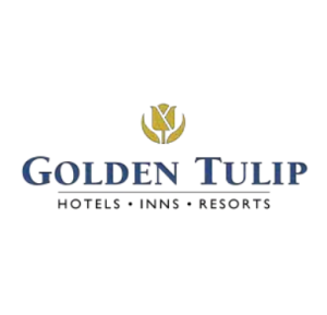 Golden tulip